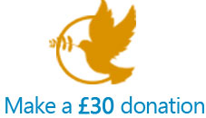 30-donation